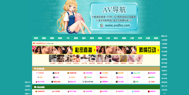 AV导航
